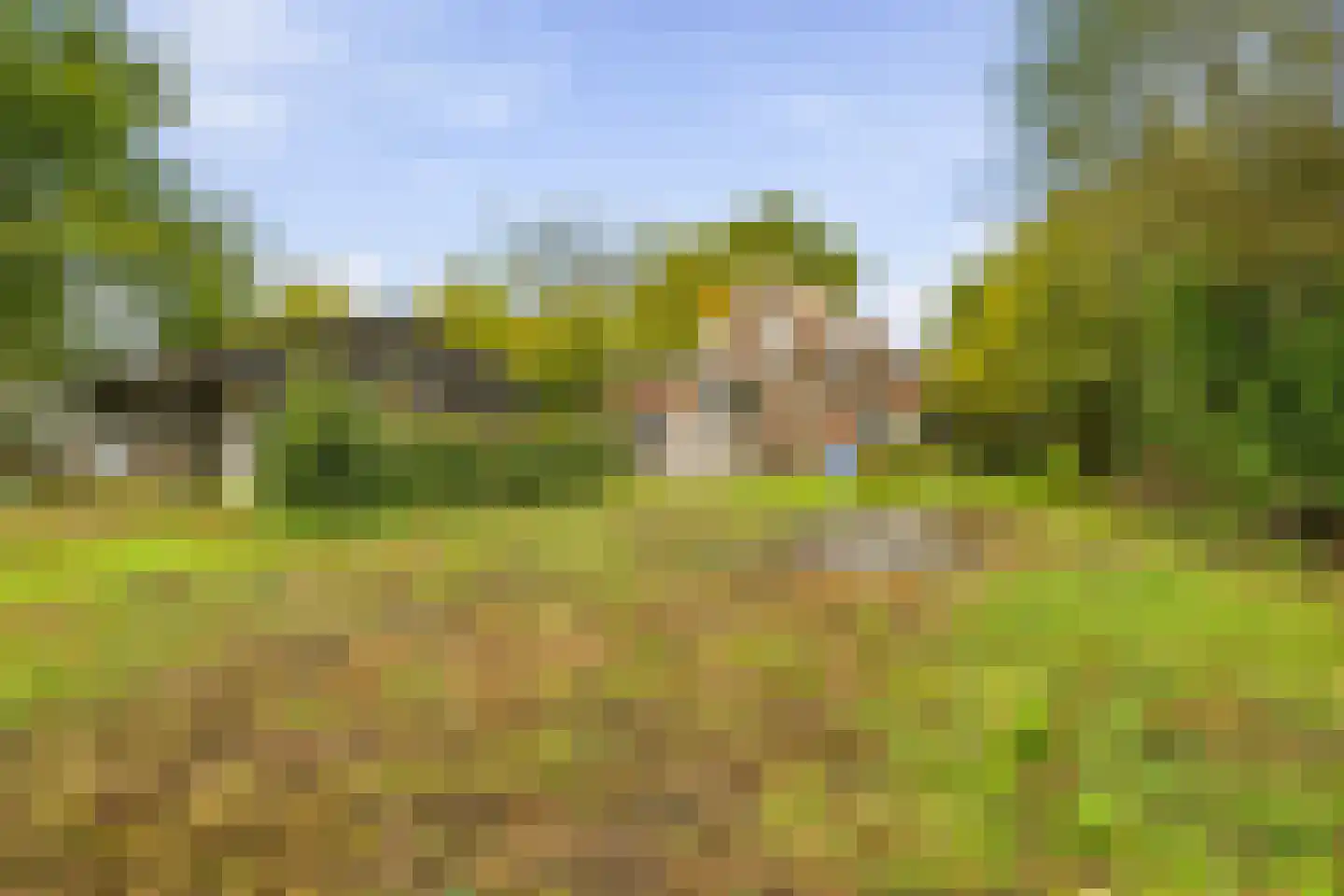 Aalsmeerderweg 296 Aalsmeer thumbnail 37