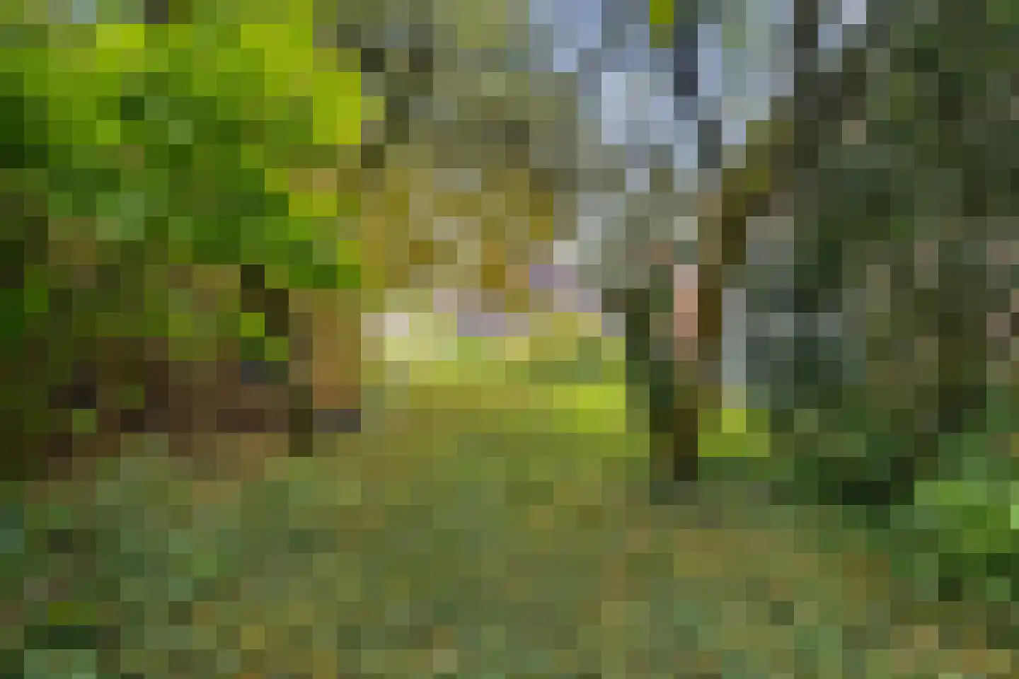 Aalsmeerderweg 296 Aalsmeer thumbnail 46