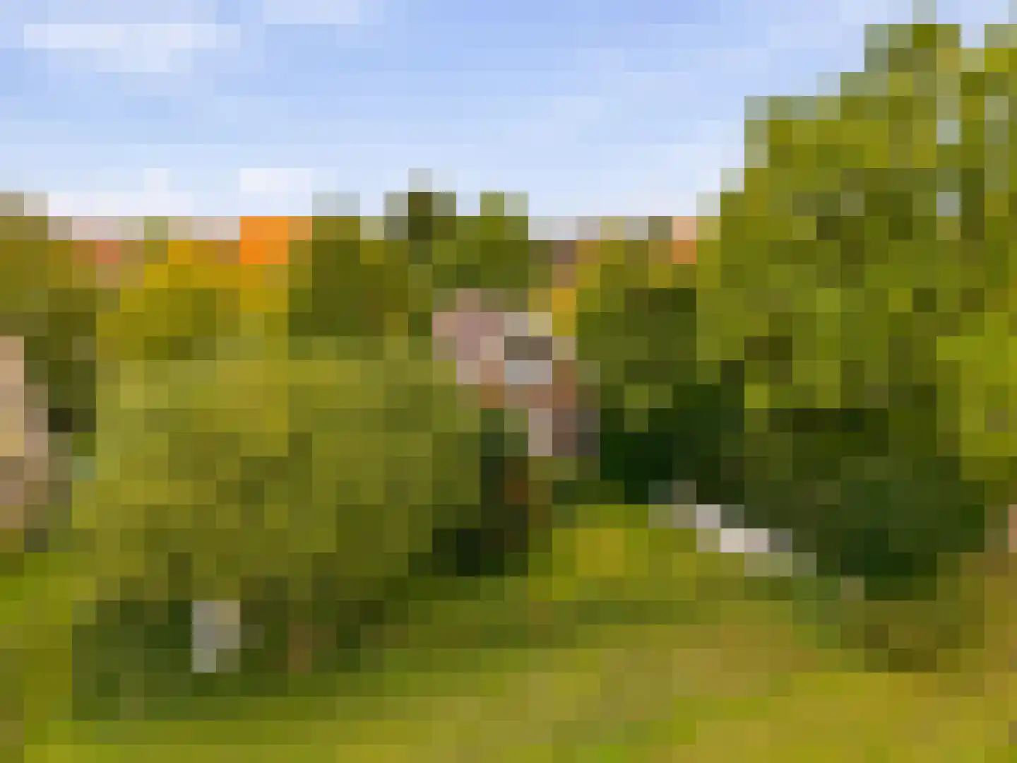 Aalsmeerderweg 296 Aalsmeer thumbnail 47