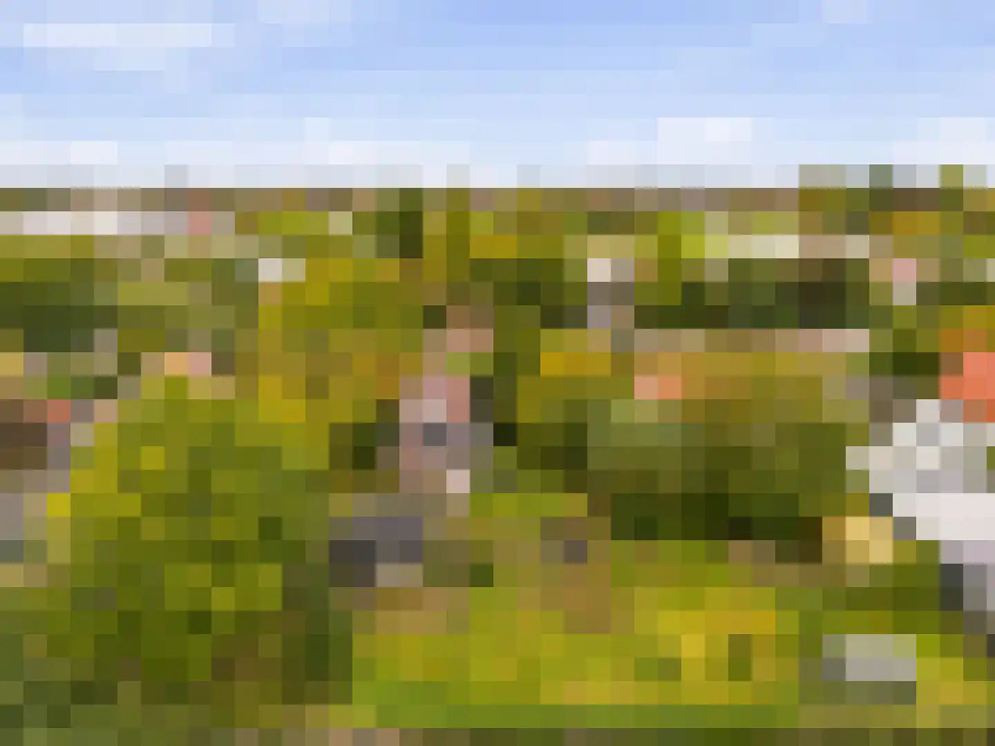Aalsmeerderweg 296 Aalsmeer thumbnail 48