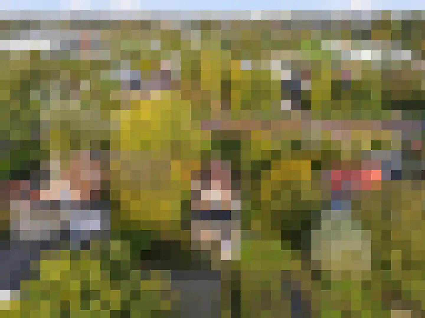 Aalsmeerderweg 296 Aalsmeer thumbnail 49