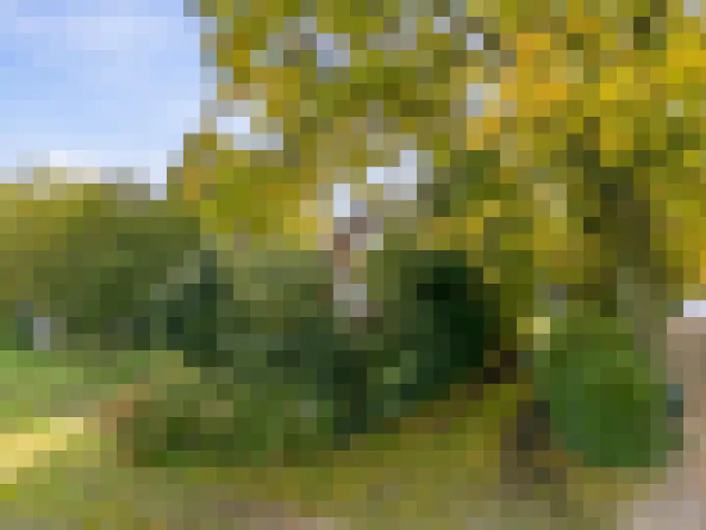 Aalsmeerderweg 296 Aalsmeer thumbnail 5