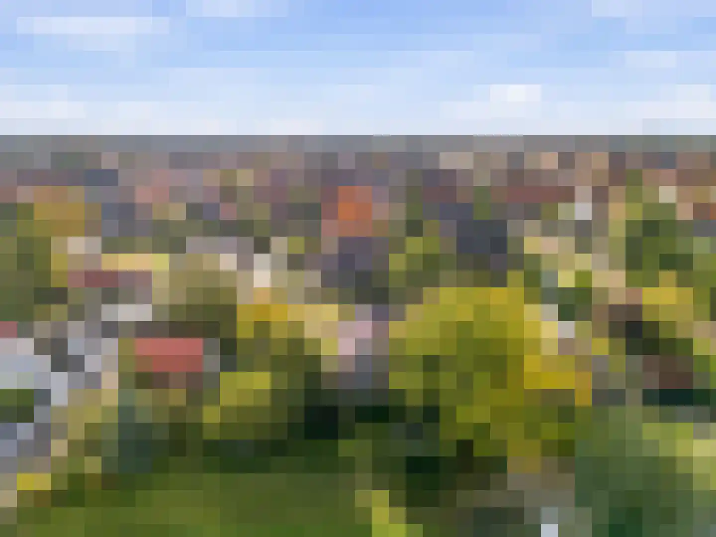 Aalsmeerderweg 296 Aalsmeer thumbnail 50