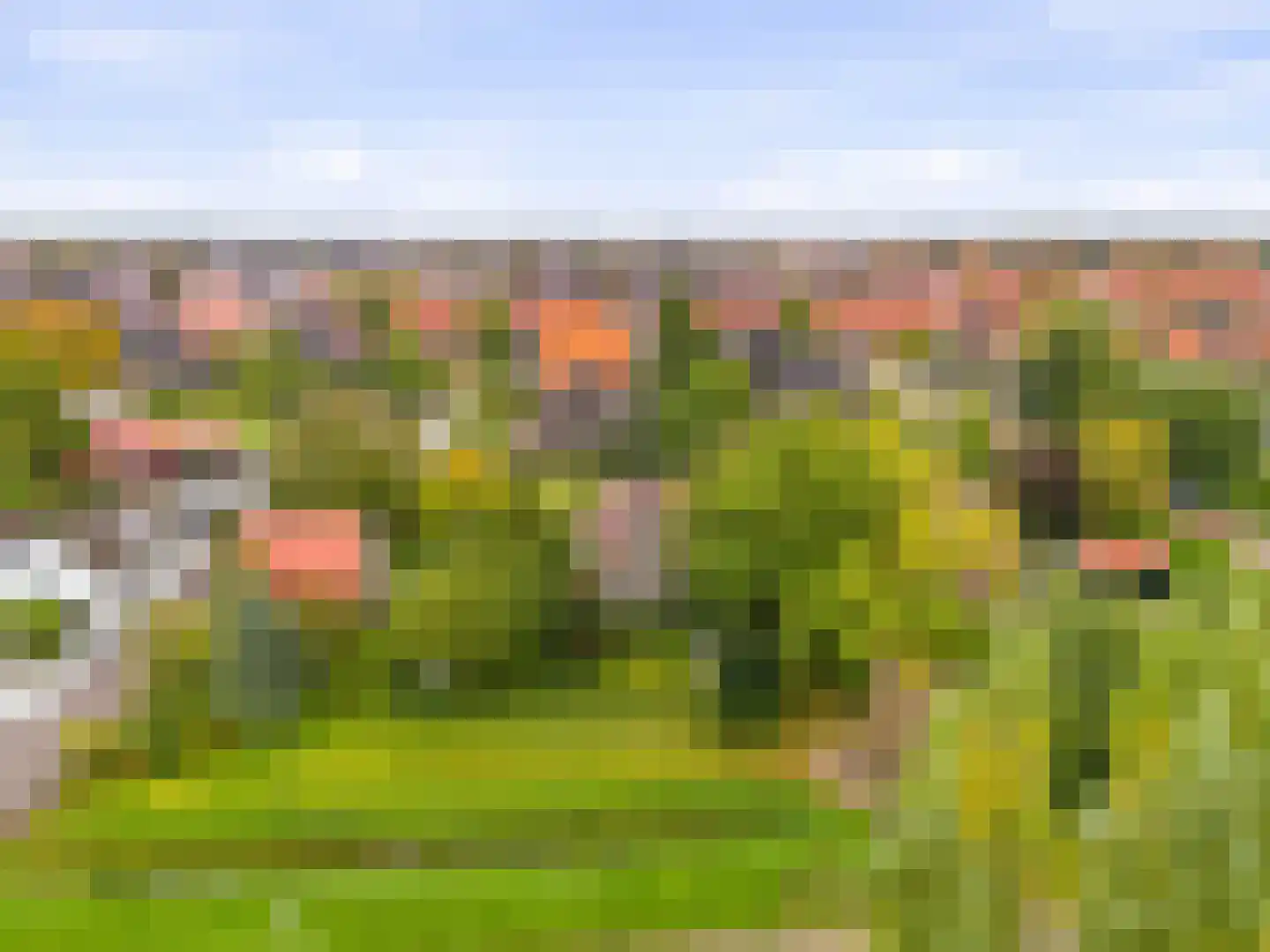 Aalsmeerderweg 296 Aalsmeer thumbnail 52