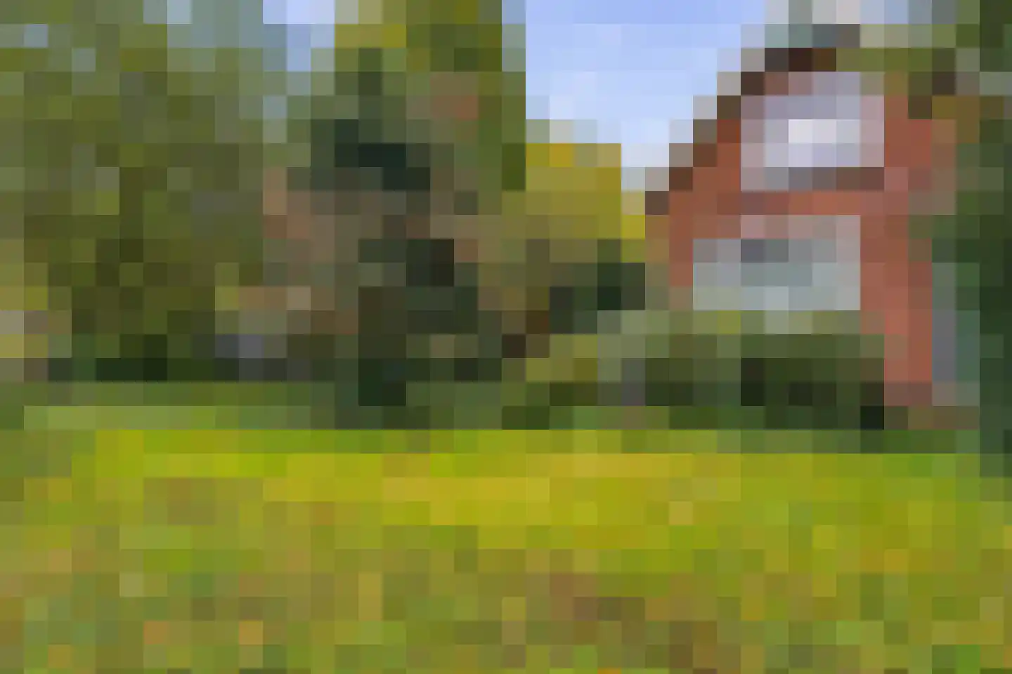 Aalsmeerderweg 296 Aalsmeer thumbnail 7