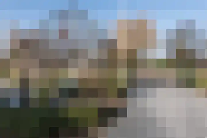 Aalsmeerderweg 304 Aalsmeer thumbnail 41