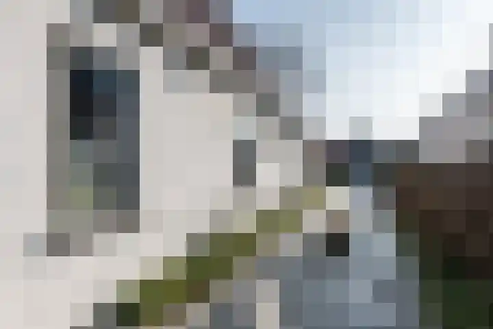 Aalsmeerderweg 304 Aalsmeer thumbnail 42