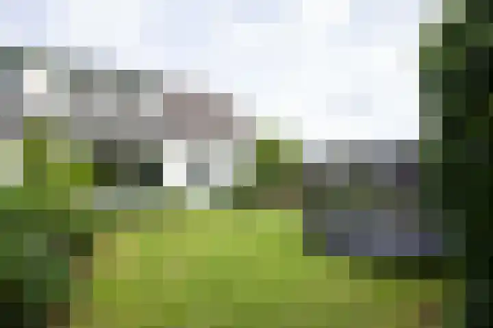 Aalsmeerderweg 345 Aalsmeer thumbnail 32