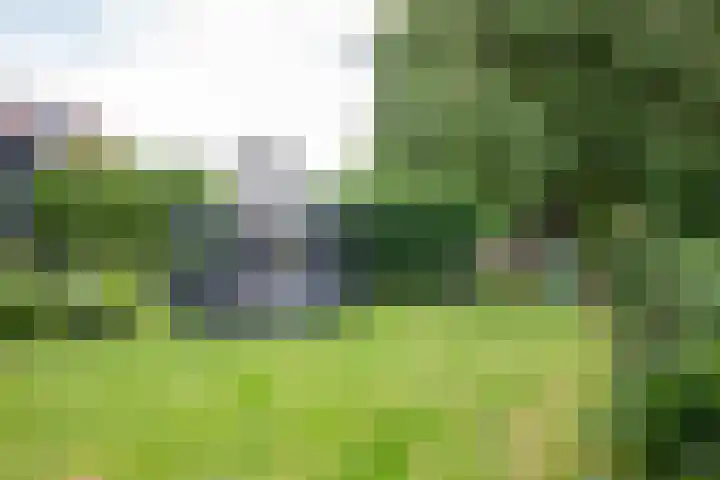 Aalsmeerderweg 345 Aalsmeer thumbnail 33
