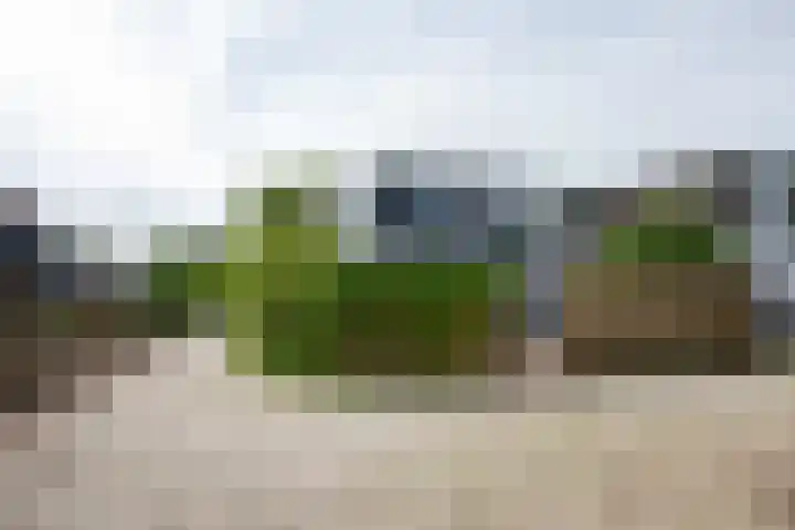 Aalsmeerderweg 345 Aalsmeer thumbnail 39