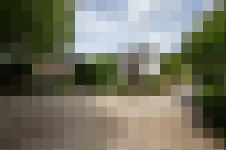 Aalsmeerderweg 345 Aalsmeer thumbnail 5