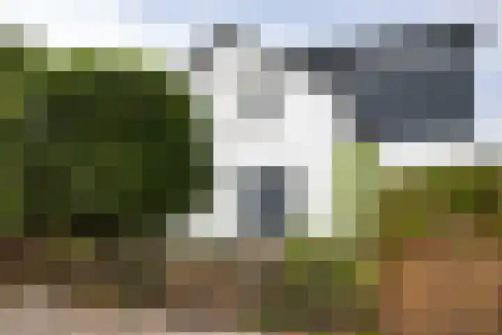 Aalsmeerderweg 345 Aalsmeer thumbnail 6