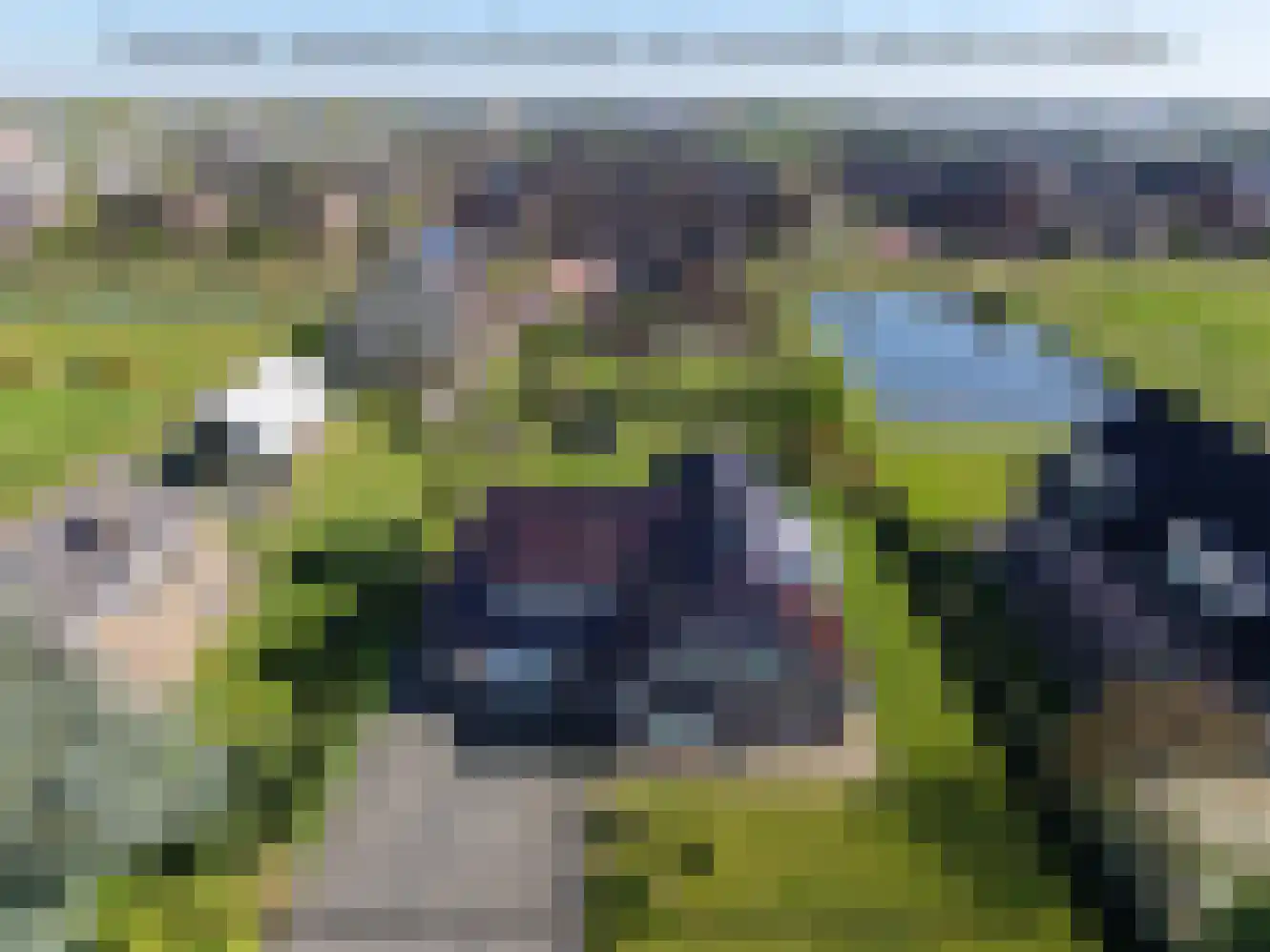 Aalsmeerderweg 362 Aalsmeer thumbnail 31