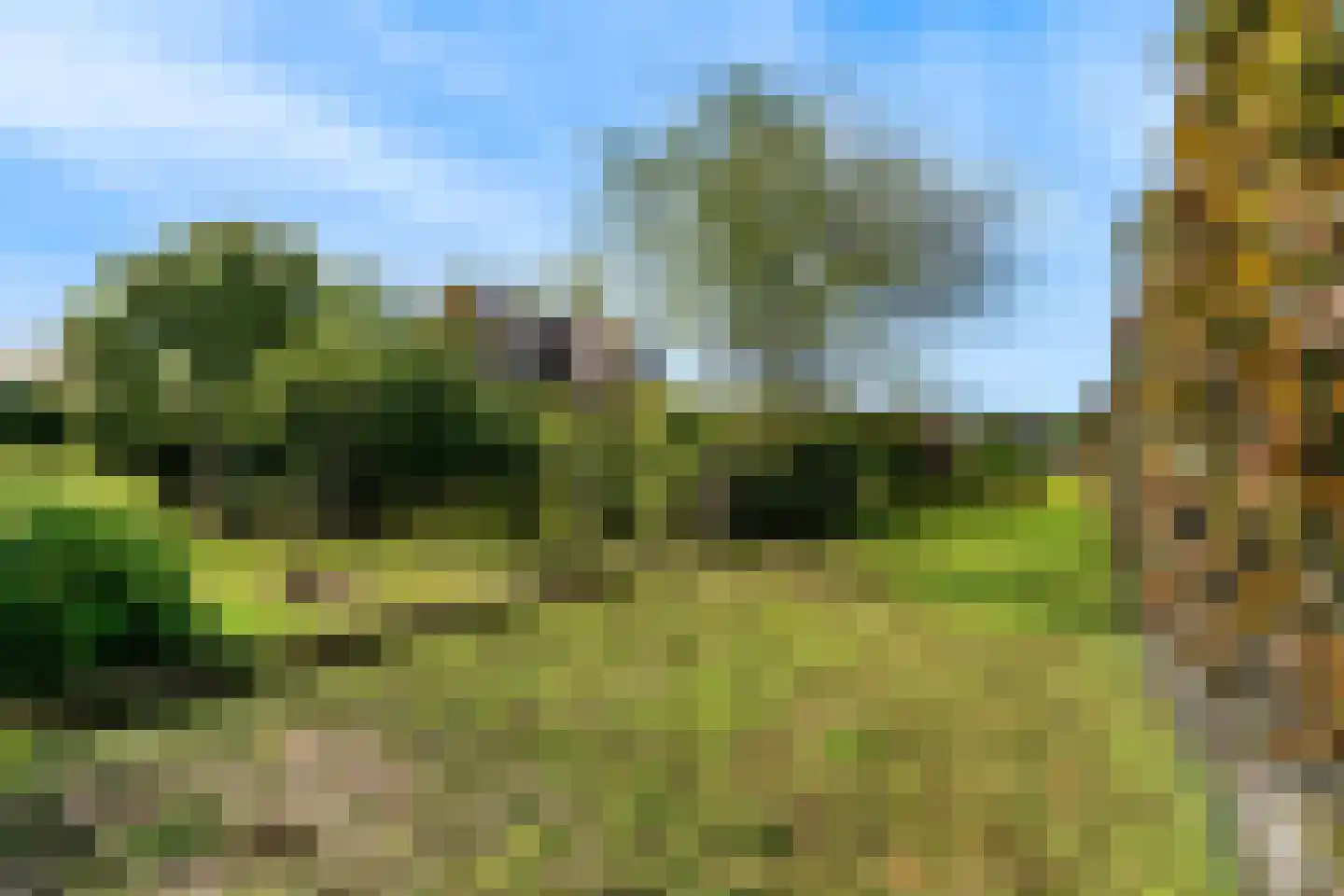 Aalsmeerderweg 420 Aalsmeer thumbnail 5