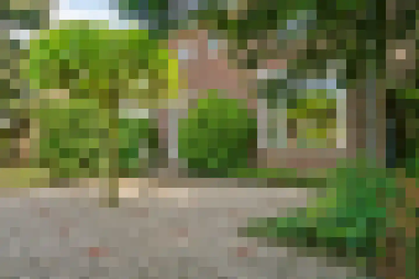 Aalsmeerderweg 424 Aalsmeer thumbnail 17