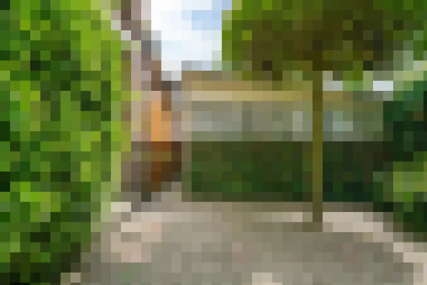 Aalsmeerderweg 424 Aalsmeer thumbnail 19