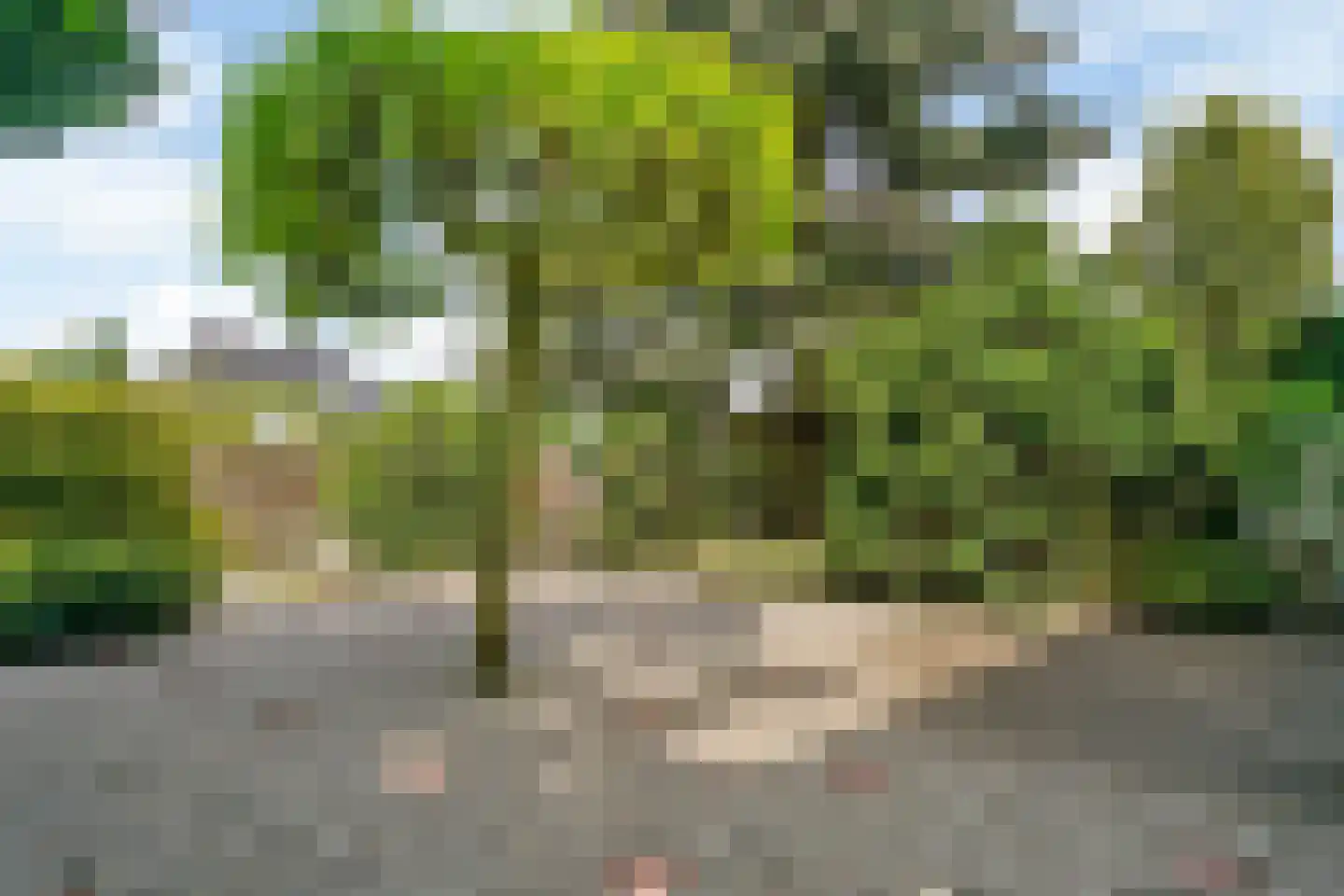 Aalsmeerderweg 424 Aalsmeer thumbnail 20