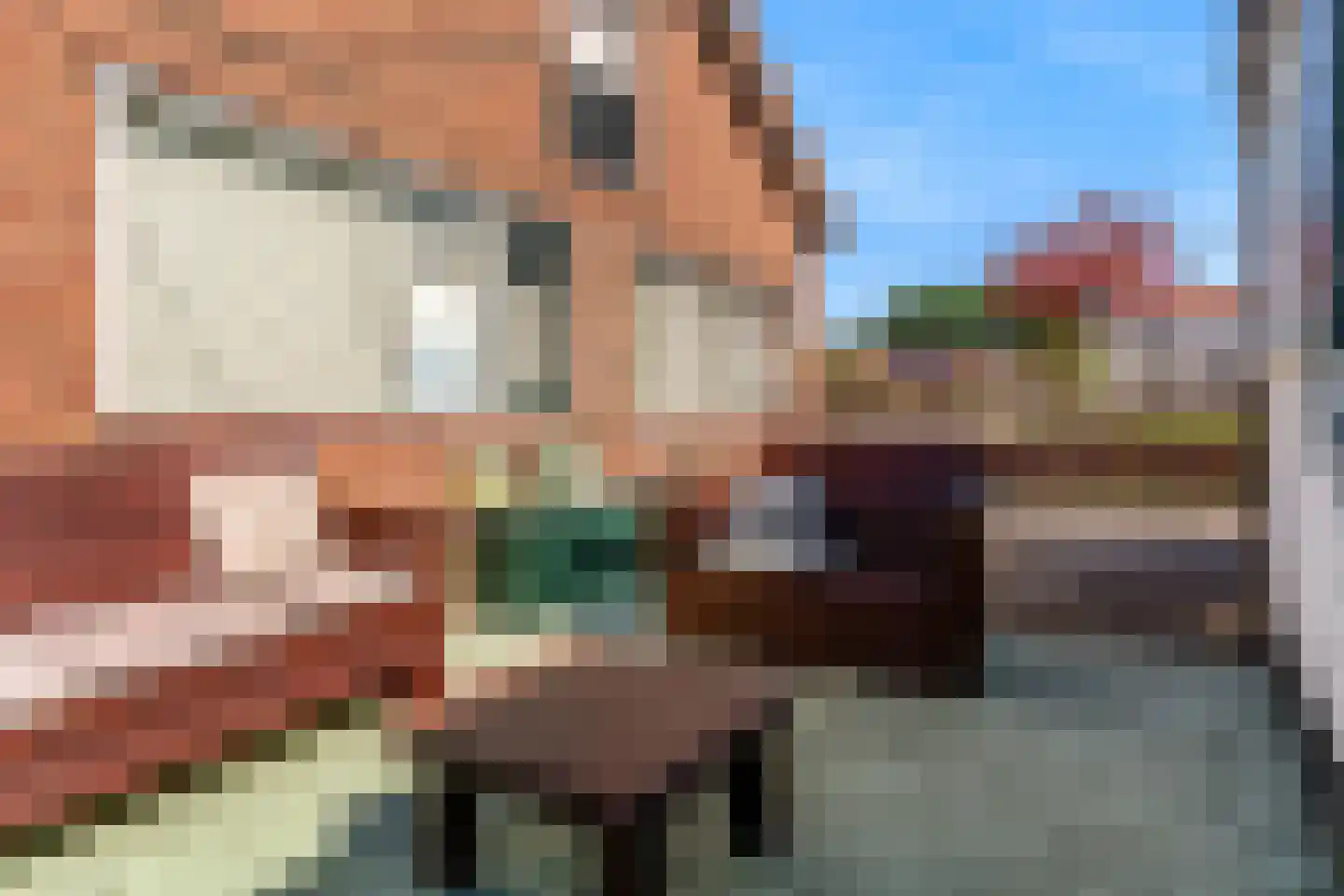 Aalsmeerderweg 425 Aalsmeer thumbnail 33