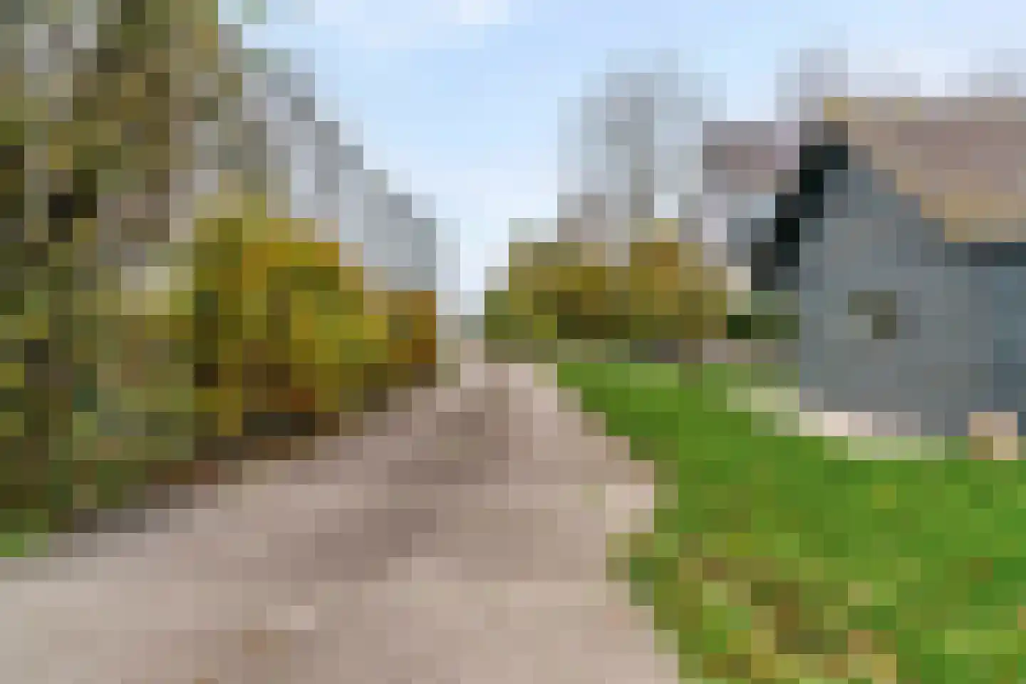 Aalsmeerderweg 760 Rijsenhout thumbnail 43