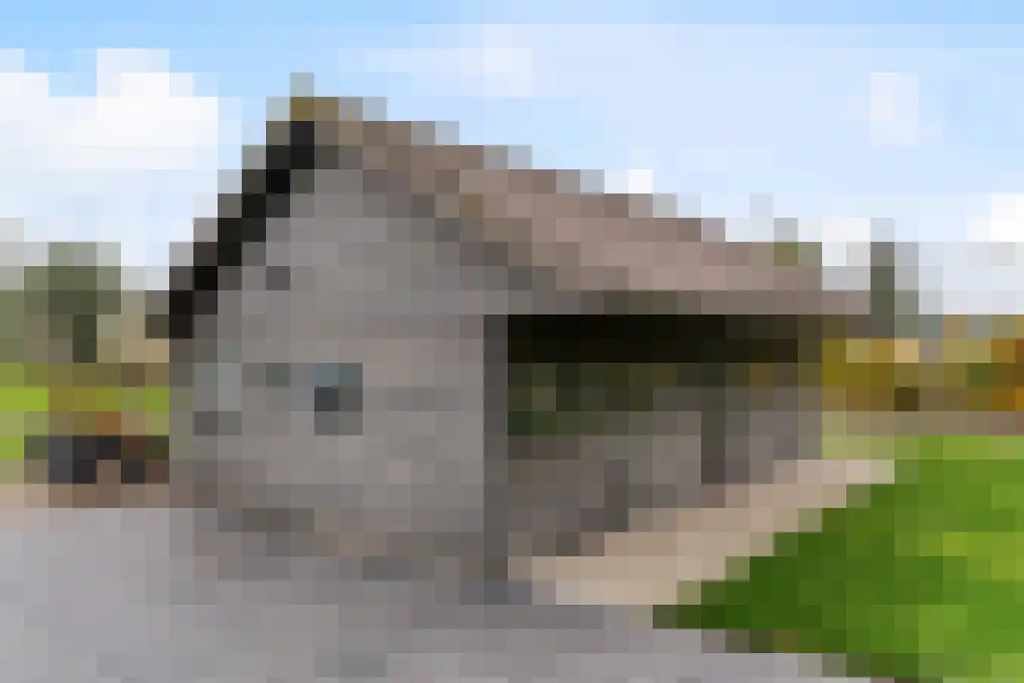 Aalsmeerderweg 760 Rijsenhout thumbnail 44