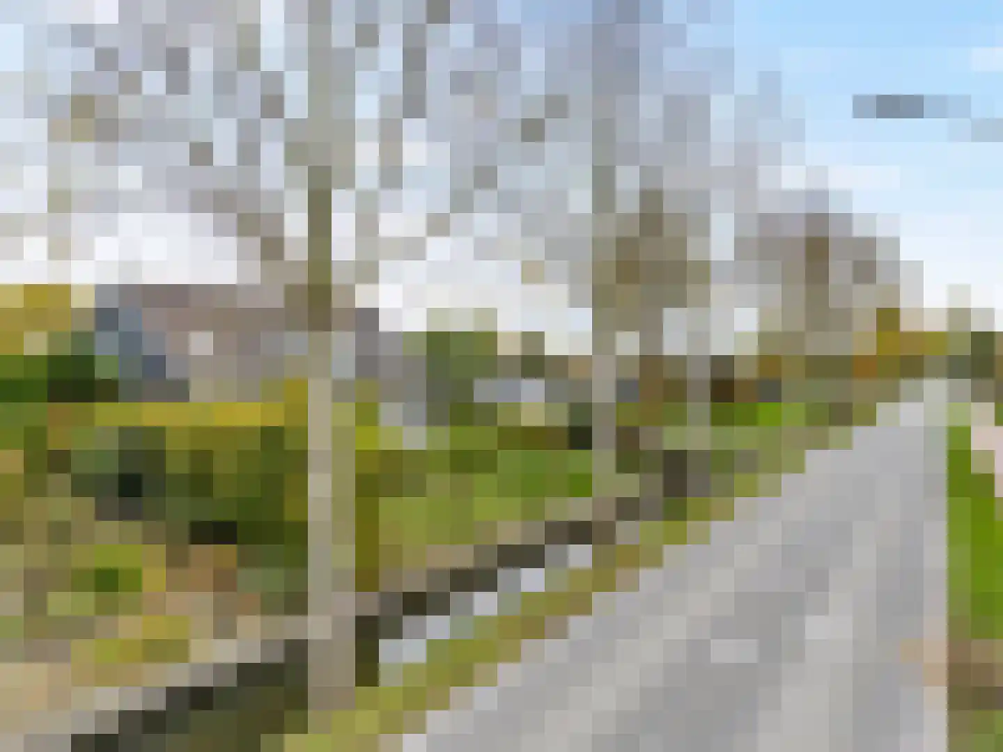 Aalsmeerderweg 760 Rijsenhout thumbnail 53