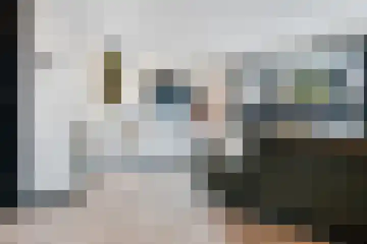 Aalsmeerderweg 763 Rijsenhout thumbnail 16
