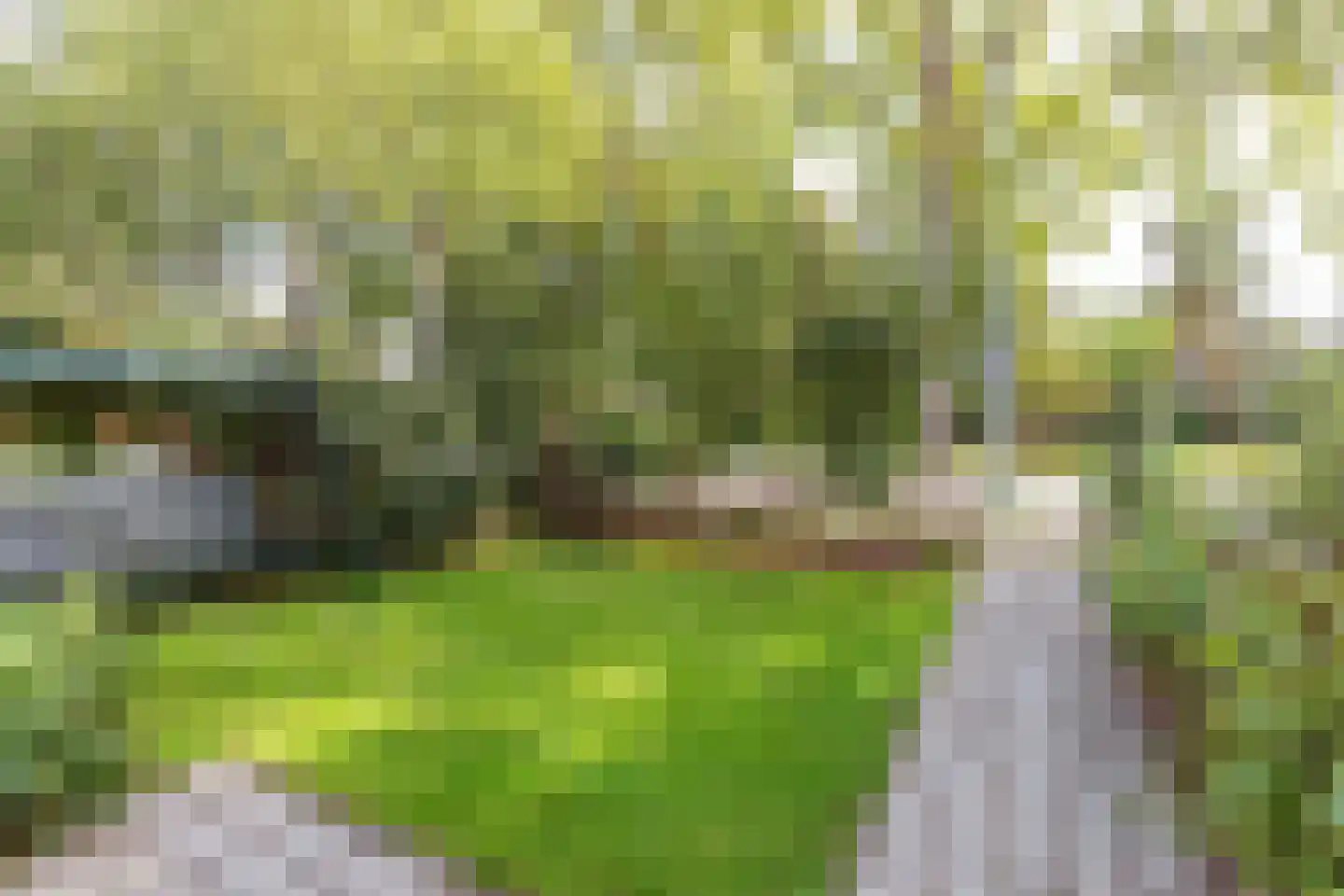 Aalsmeerderweg 765 Rijsenhout thumbnail 4