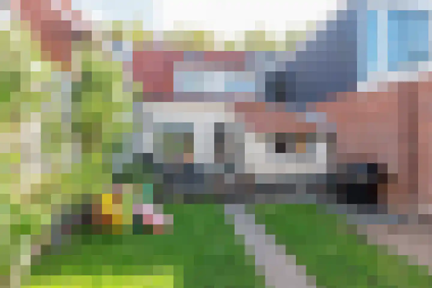 Aalsmeerderweg 765 Rijsenhout thumbnail 7