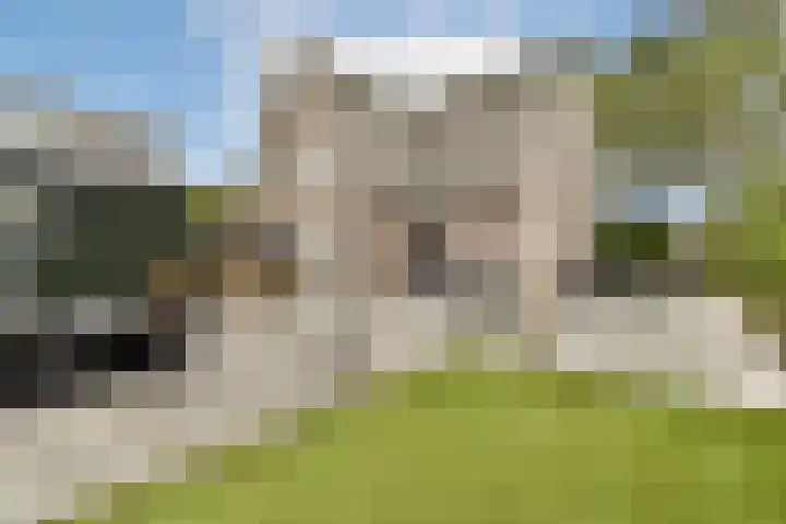 Aalsmeerderweg 927 Rijsenhout thumbnail 11