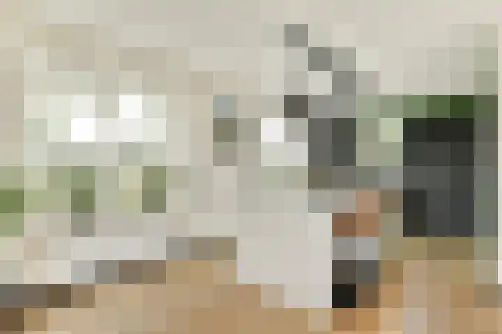 Aalsmeerderweg 927 Rijsenhout thumbnail 6