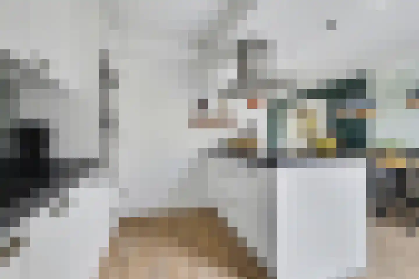 Aalsmeerhof 10 Arnhem thumbnail 14