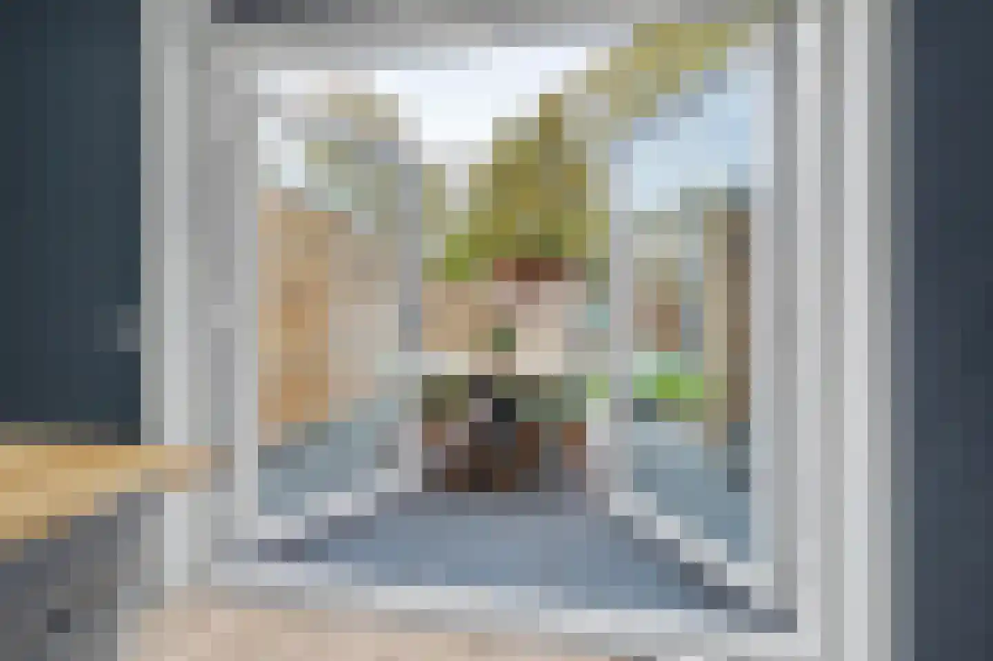 Aalsmeerhof 10 Arnhem thumbnail 17