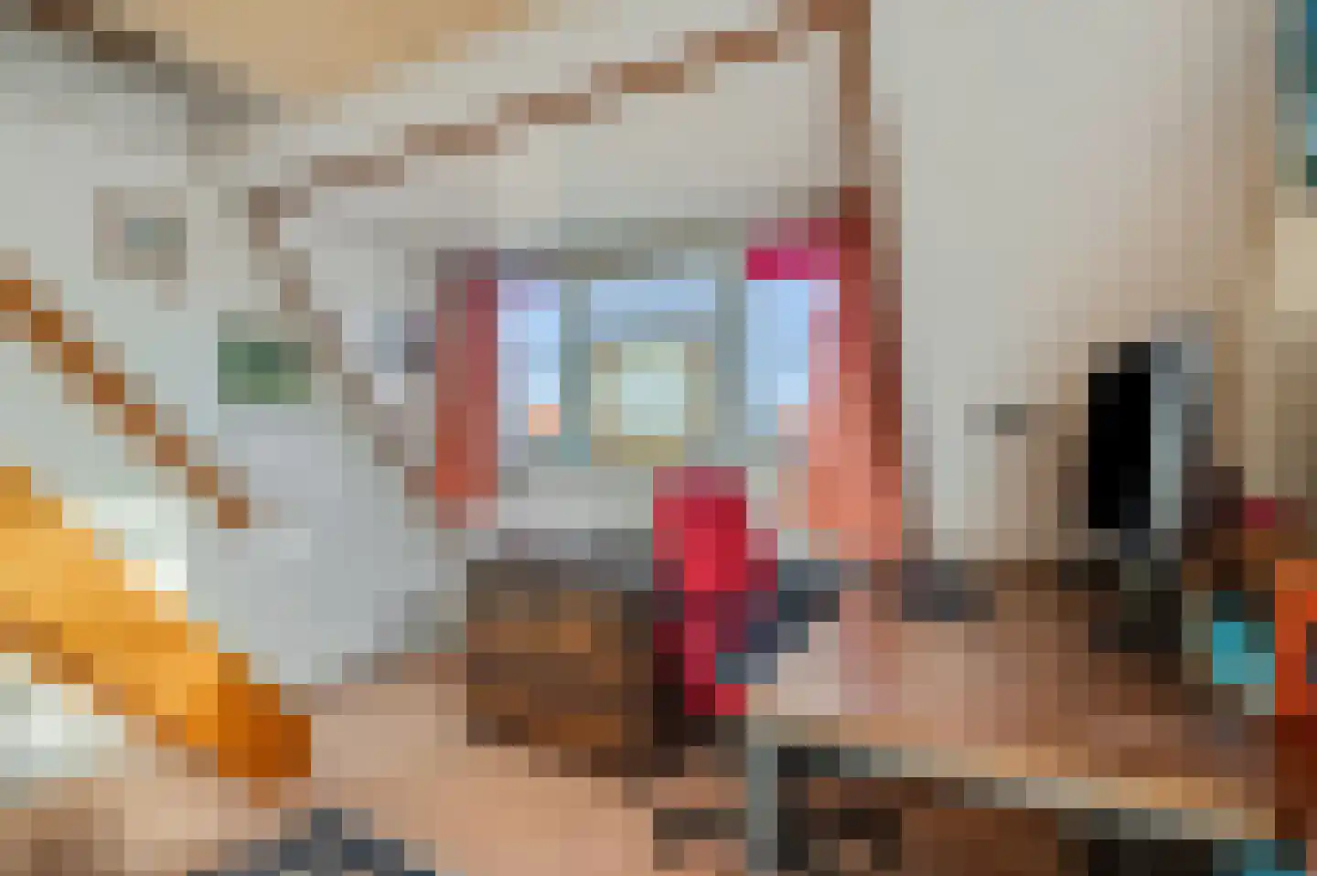 Aalsmeerhof 10 Arnhem thumbnail 18