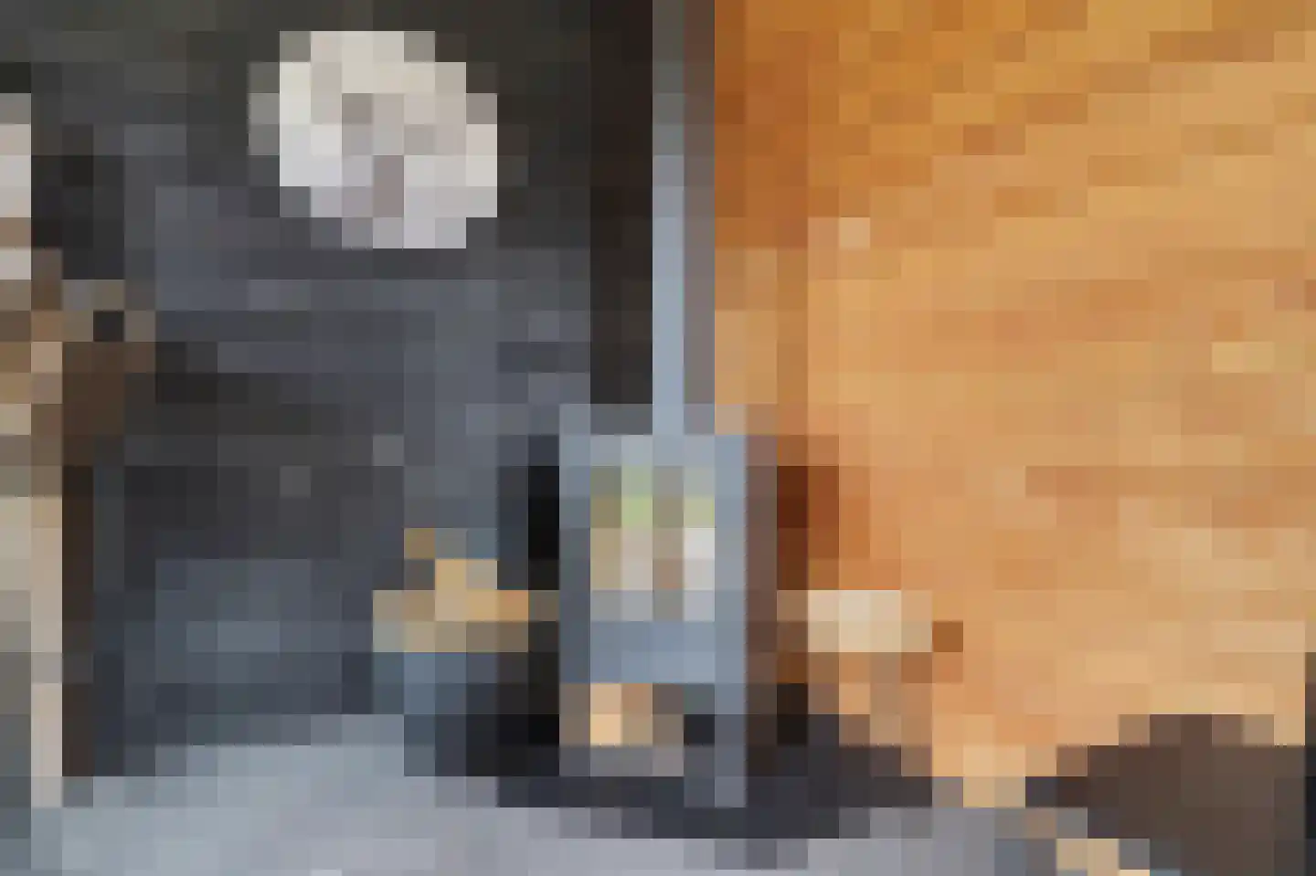 Aalsmeerhof 10 Arnhem thumbnail 41