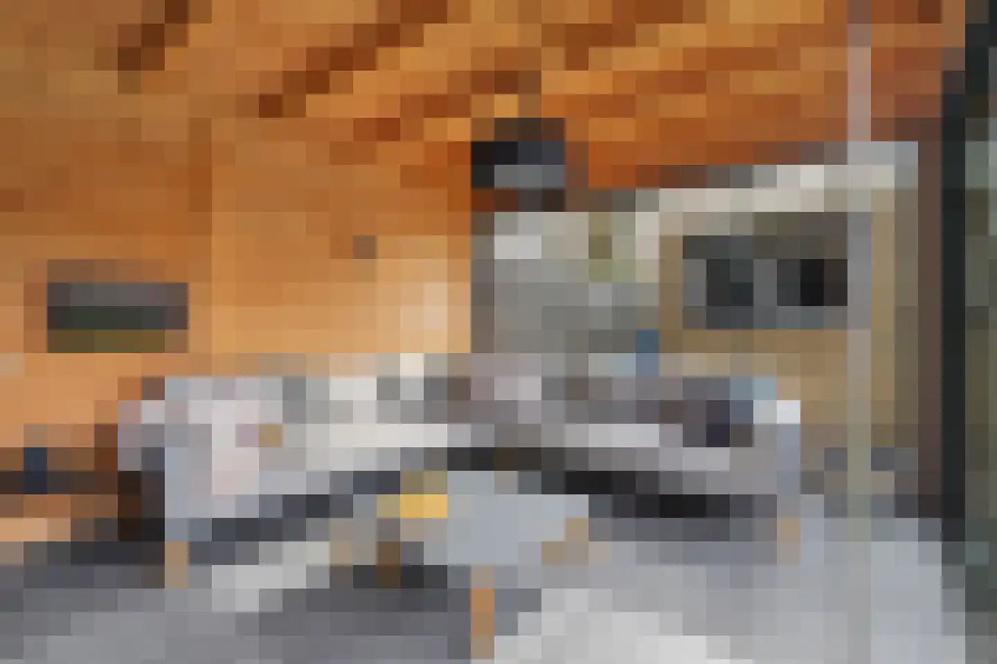 Aalsmeerhof 10 Arnhem thumbnail 42