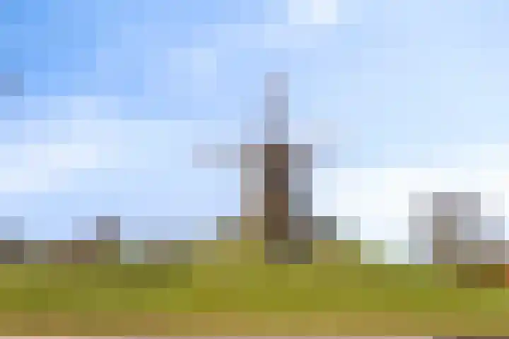 Aalsmeerhof 10 Arnhem thumbnail 44