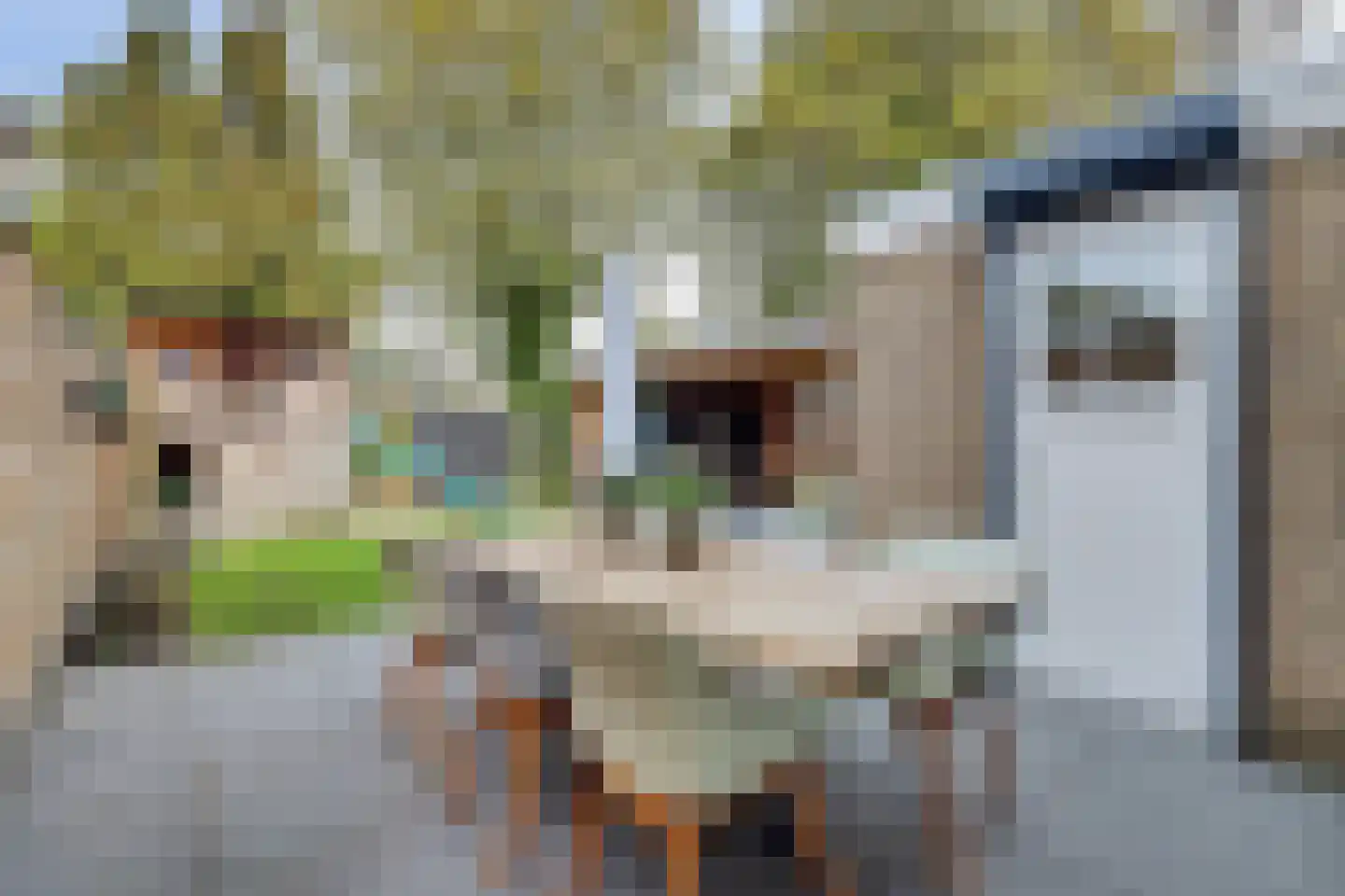 Aalsmeerhof 10 Arnhem thumbnail 48