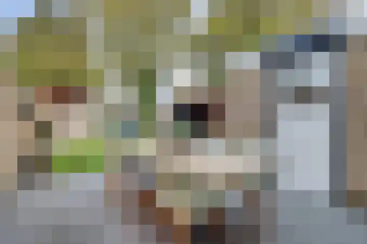Aalsmeerhof 10 Arnhem thumbnail 48