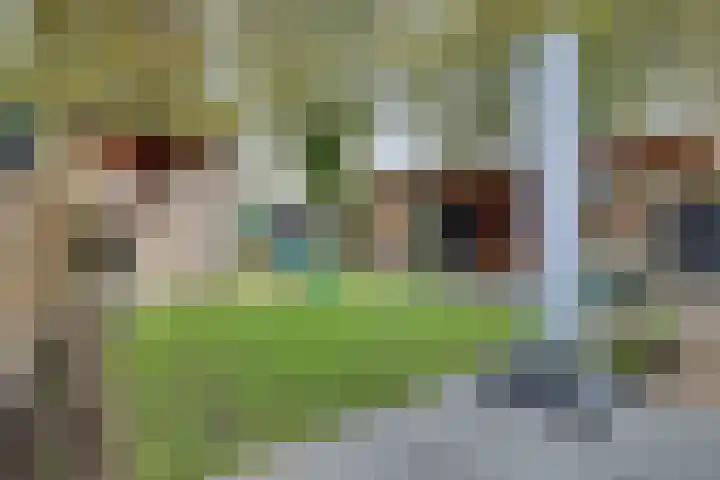 Aalsmeerhof 10 Arnhem thumbnail 49