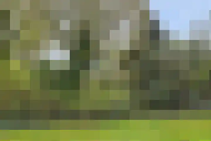Aalsmeerhof 10 Arnhem thumbnail 56
