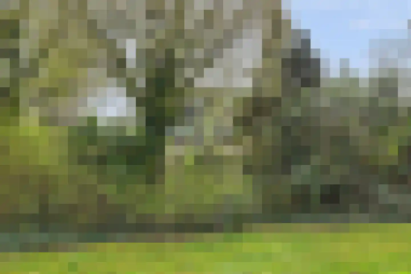 Aalsmeerhof 10 Arnhem thumbnail 56