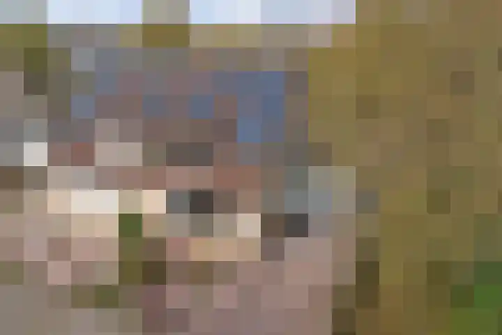 Aalsmeerhof 10 Arnhem thumbnail 59