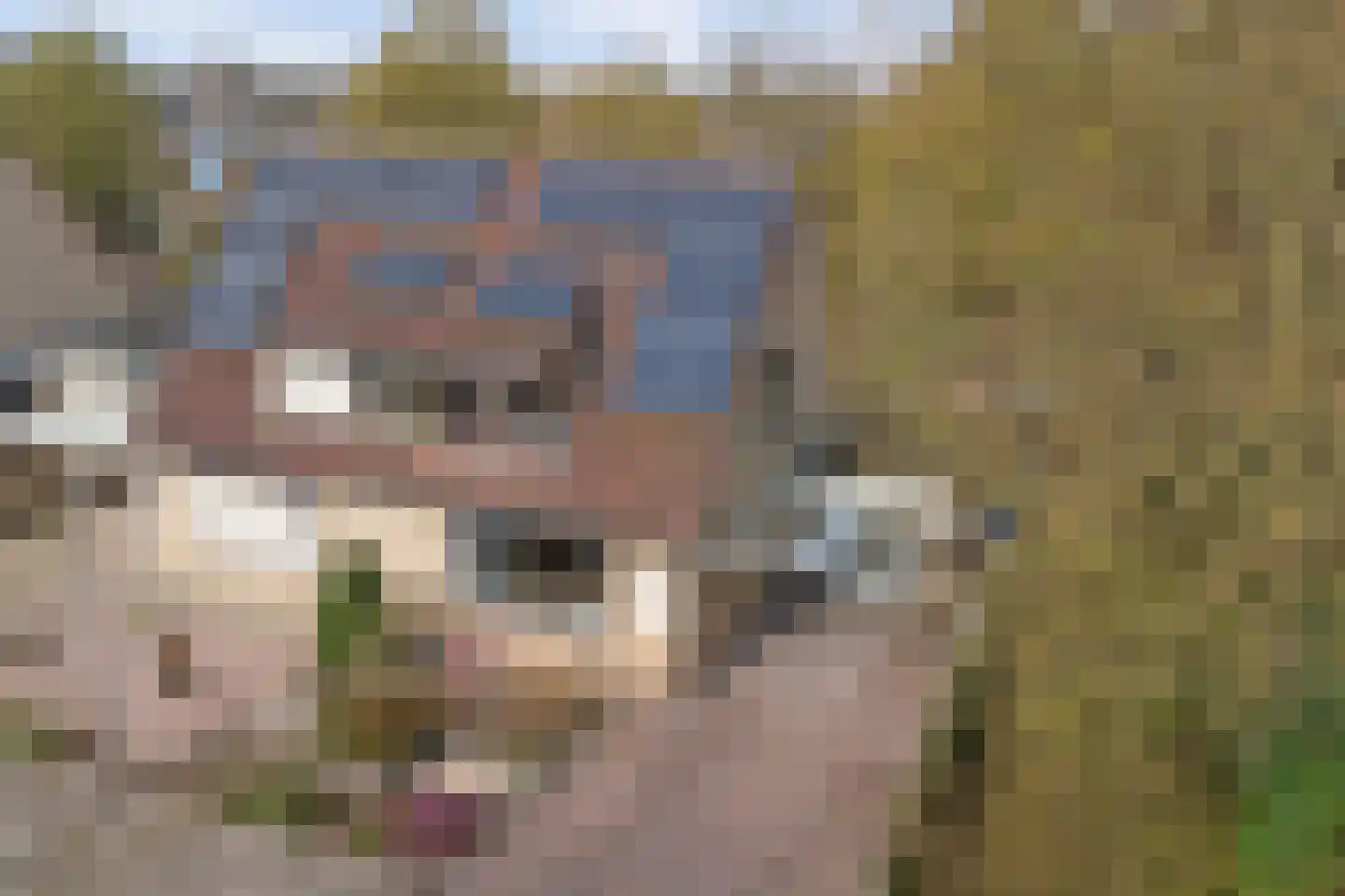 Aalsmeerhof 10 Arnhem thumbnail 59