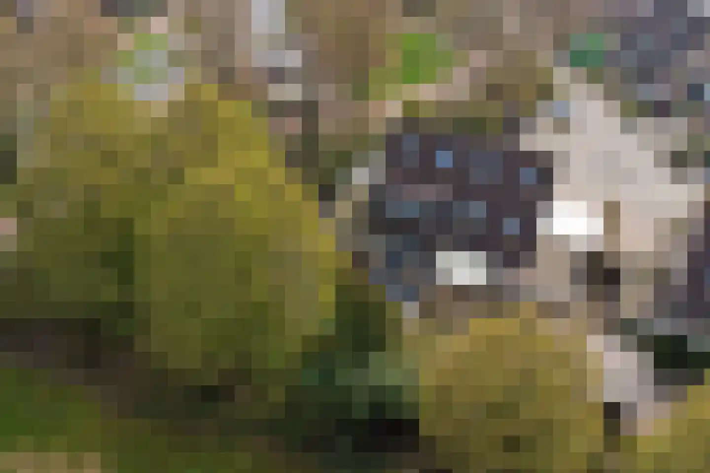 Aalsmeerhof 10 Arnhem thumbnail 61