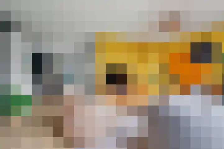 Aalsmeerhof 10 Arnhem thumbnail 7