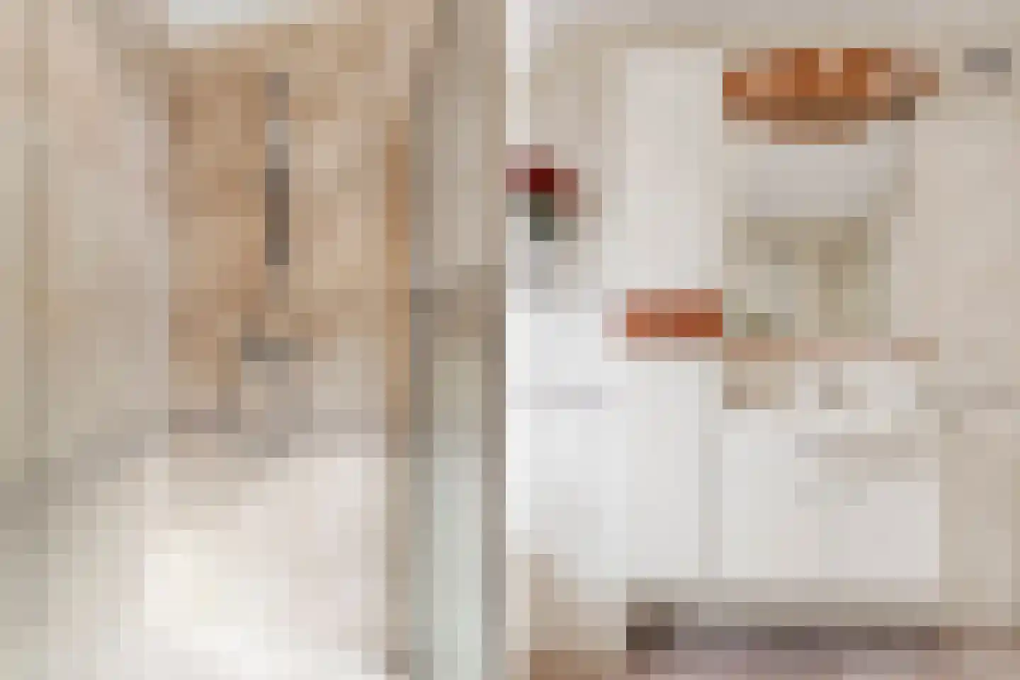 Aalsmeerhof 63 Arnhem thumbnail 33