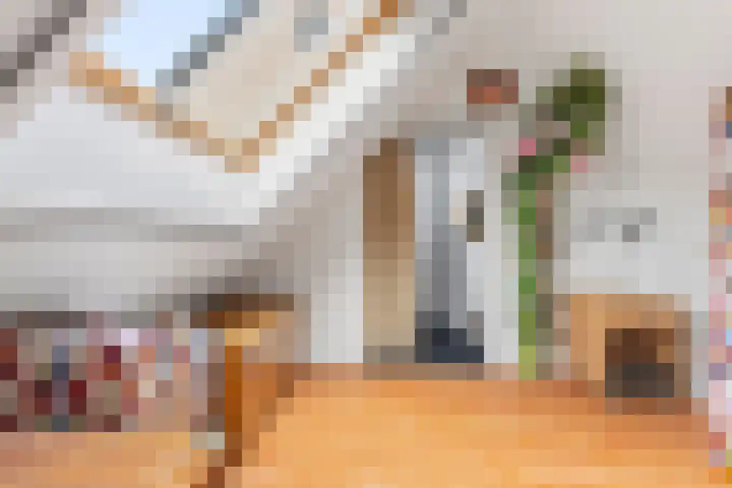 Aalsmeerhof 63 Arnhem thumbnail 41