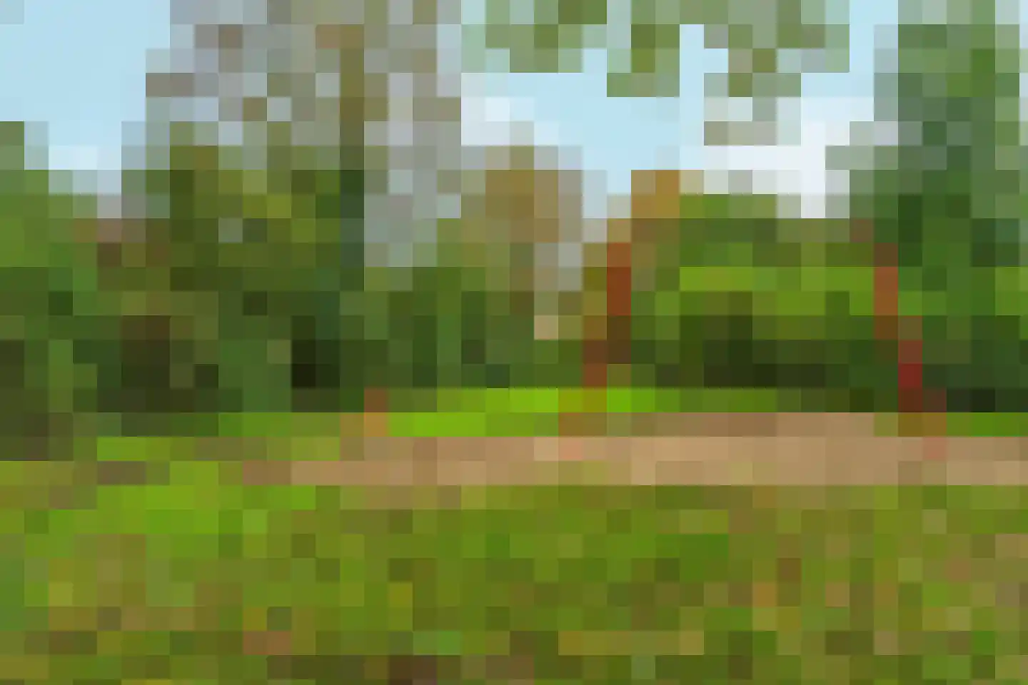 Aalsmeerhof 63 Arnhem thumbnail 53