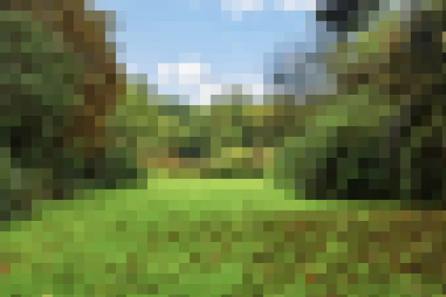 Aalsmeerhof 63 Arnhem thumbnail 54
