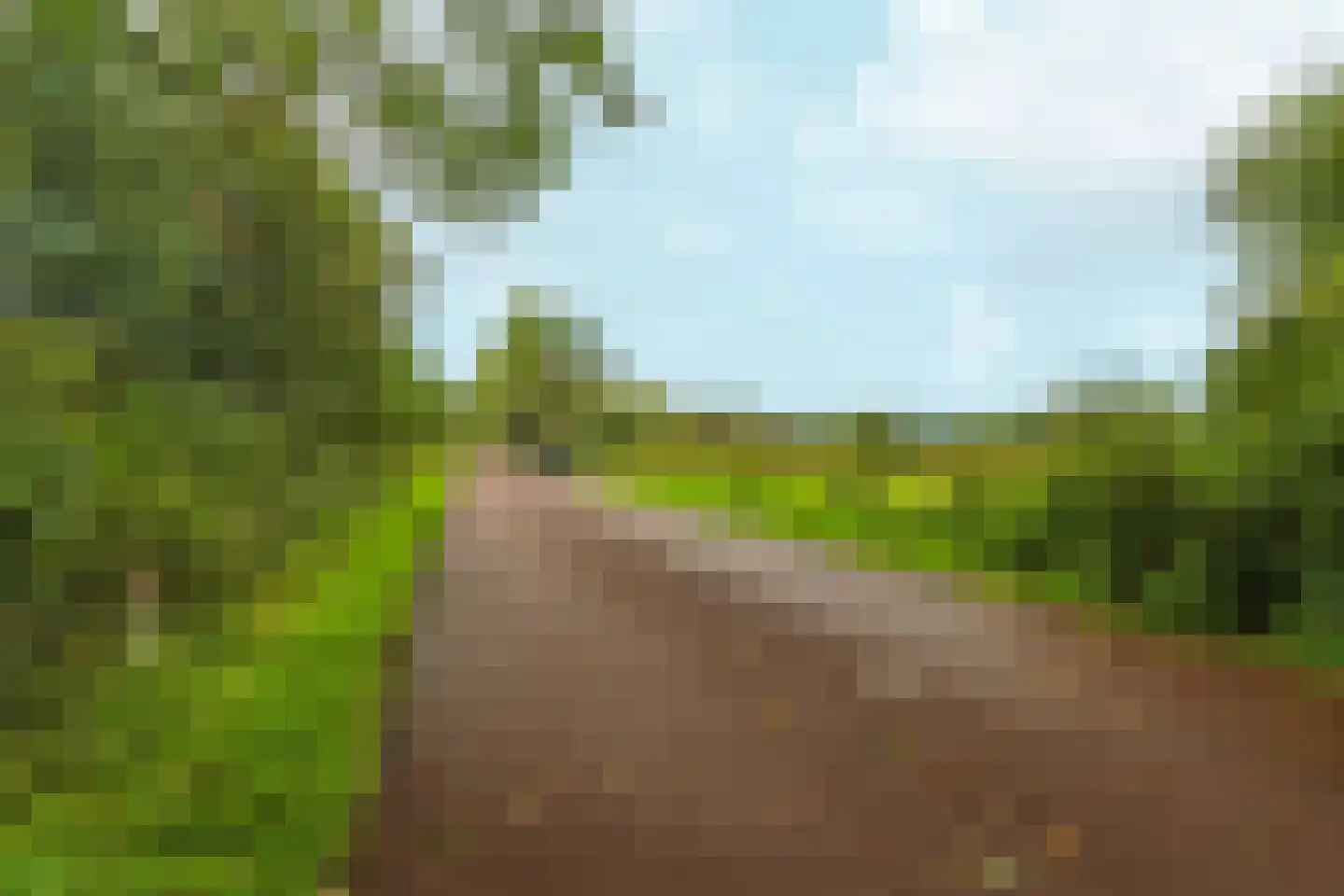 Aalsmeerhof 63 Arnhem thumbnail 55